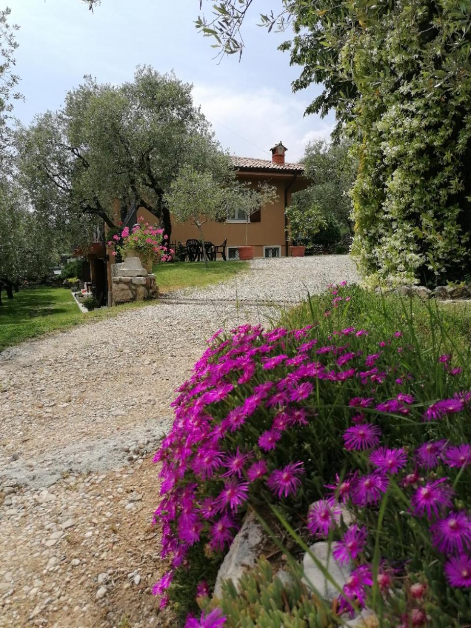 Cà Framari - Casa Vacanze Marciaga Esterno foto